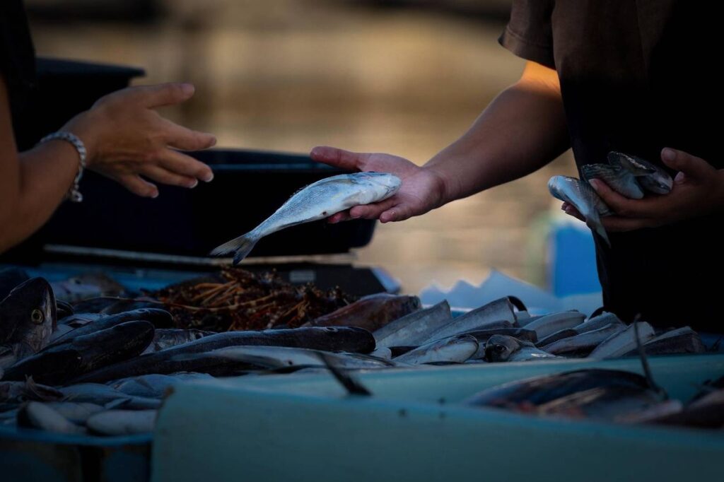 Fischmarkt mit frischem Fisch an der deutschen Ostseeküste