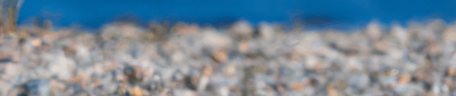Die schönsten Küstenwanderungen an der deutschen Ostsee